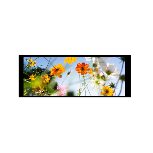 6.86 اینچ 480 × 1280 IPS ماژول TFT